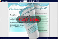 djvu_to_flippingbook3d_demo